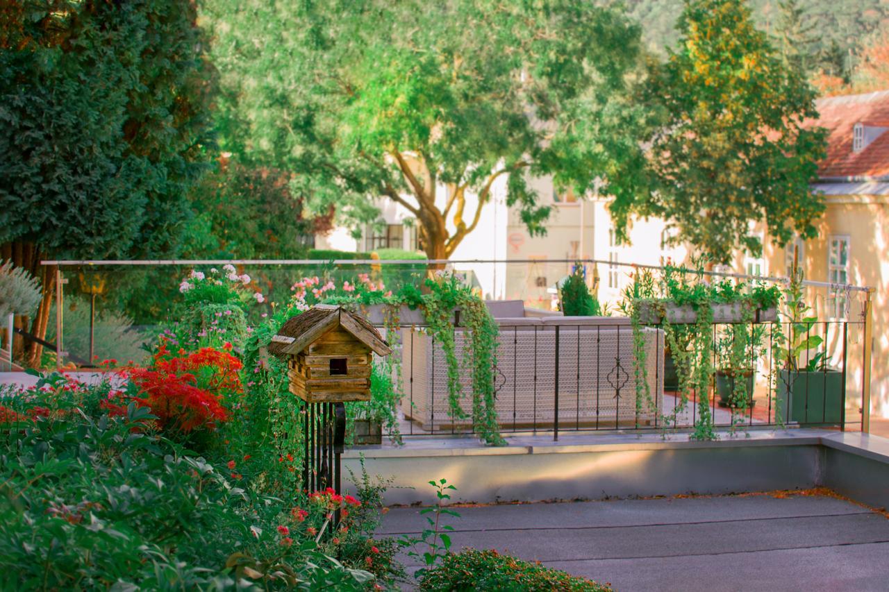 Aurelius Pension Baden Exterior photo